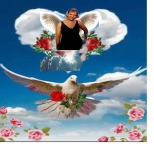 Meet your Posher, Benito